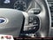 2024 Ford Transit Cargo Van T250 AWD LOW RF