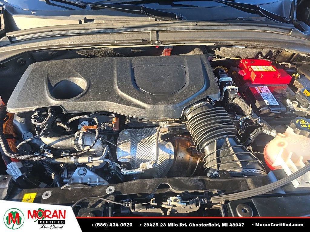 2024 Dodge Hornet R/T