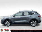 2023 Ford Escape Hybrid Platinum
